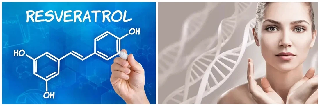 Resveratrol 1000mg_