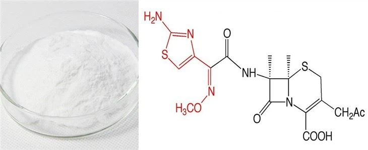 cefotaxime sodium
