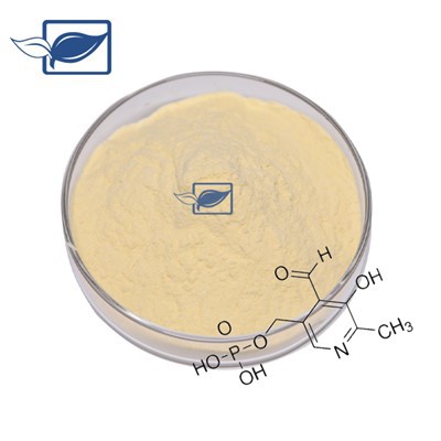 Pyridoxal Phosphate