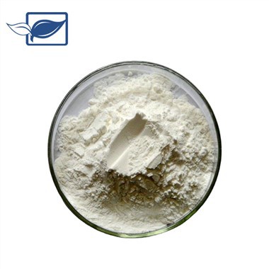Pom Palmetto Txiv Hmab Txiv Ntoo Extract Powder